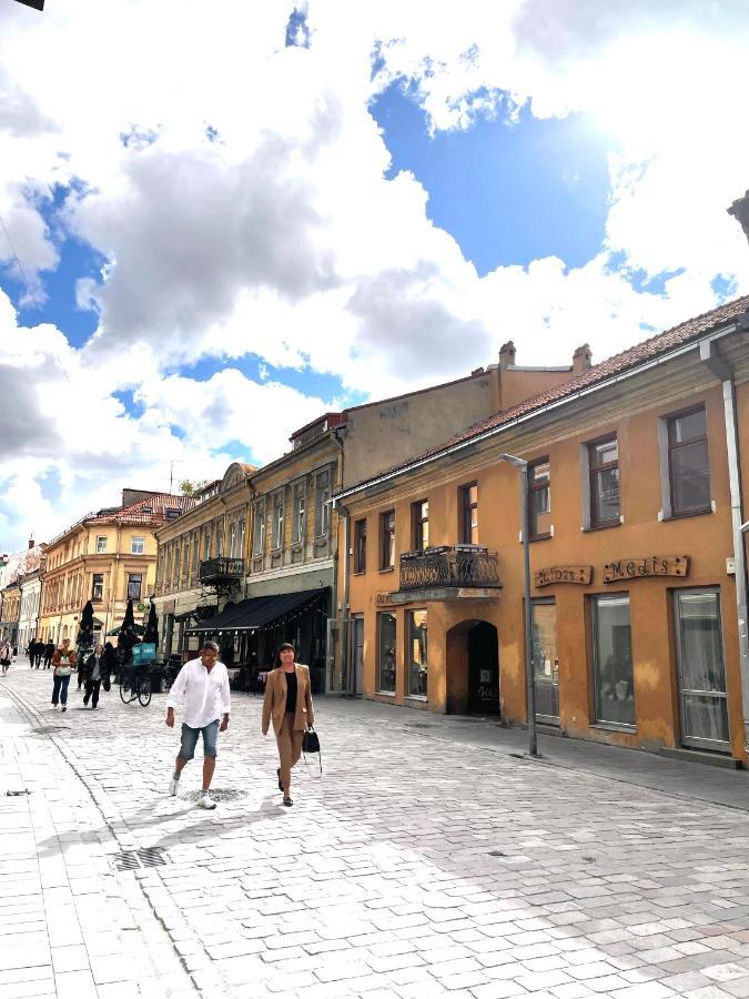 Stylish Apartment In The Heart Of Kaunas Old Town Kültér fotó